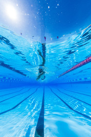 Natation