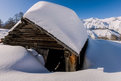Auron