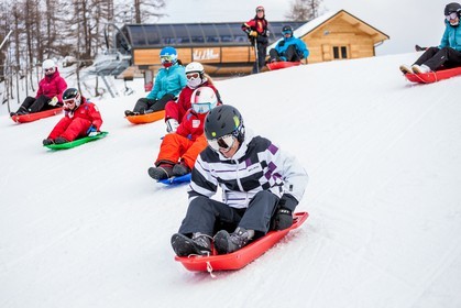 Luge