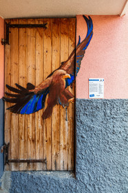 Valloria