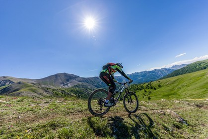 Vtt