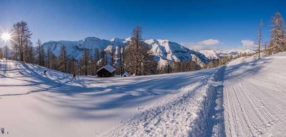 Auron