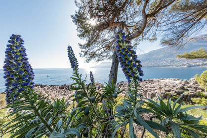 Roquebrune-Cap-Martin