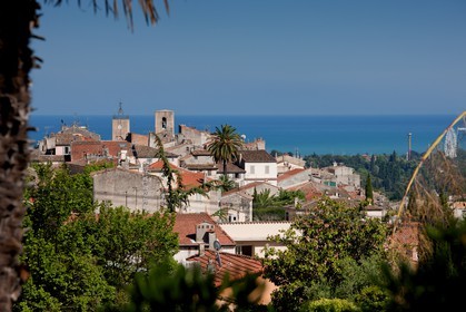 Biot