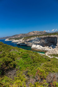 Madonetta