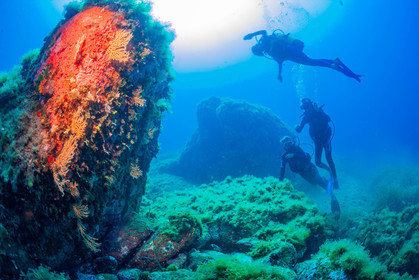 Plongée-sous-marine