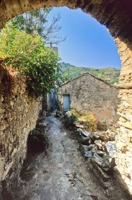 Rogliano