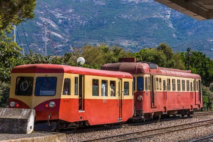 Calvi