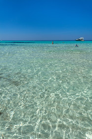 Saleccia