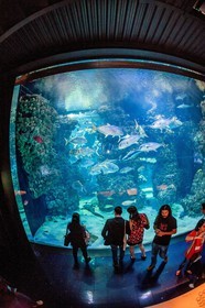 Musée Océanographique de Monaco