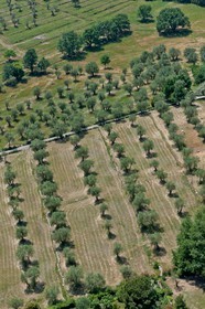 Sophia Antipolis