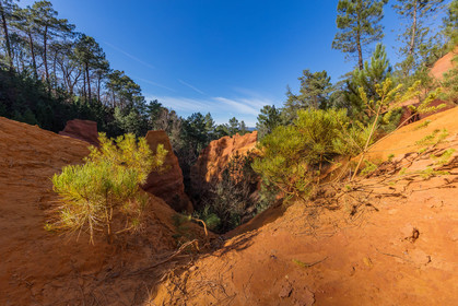 Roussillon