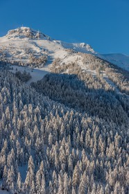 Auron