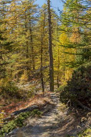 Col de la Moutière