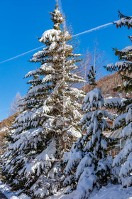 La Foux d'Allos