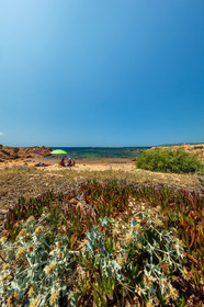 Tonnara