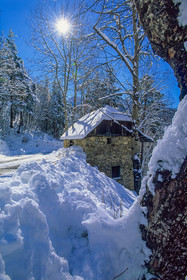 Colmars-les-Alpes