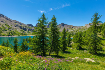 Lac d'Allos
