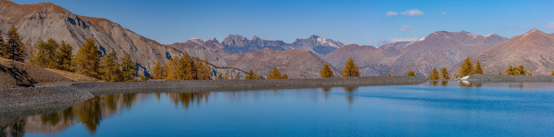 Auron