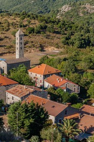 Carbini