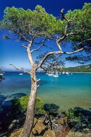 Porquerolles