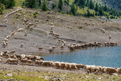 Lac d'Allos
