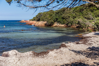 Rondinara