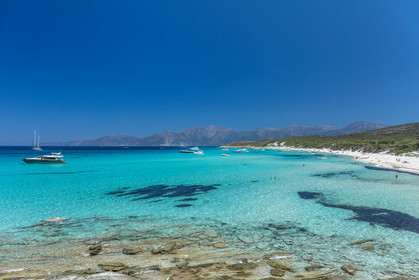 Saleccia