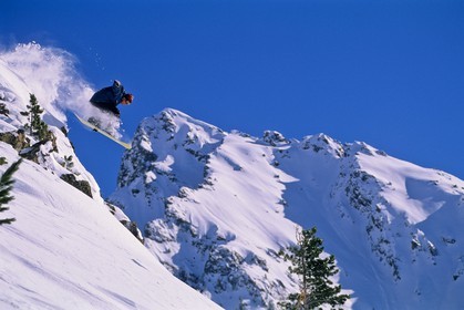 Snowboard