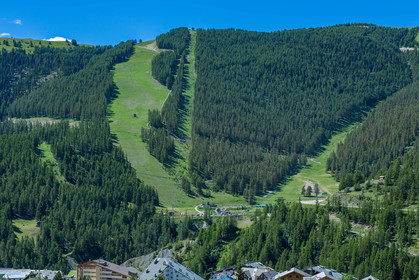 Auron