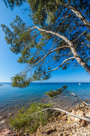Saint-Mandrier-sur-Mer