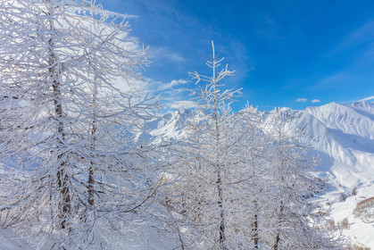 La Foux-d'Allos