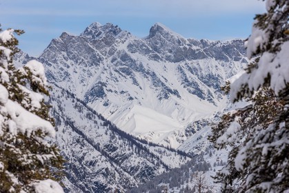 Auron