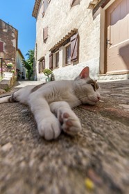 Auribeau-sur-Siagne