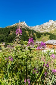 La-Foux-d'Allos