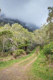 Ile de La Réunion