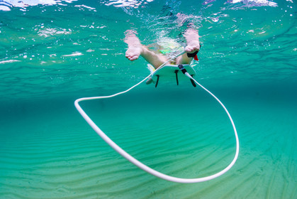 Surf