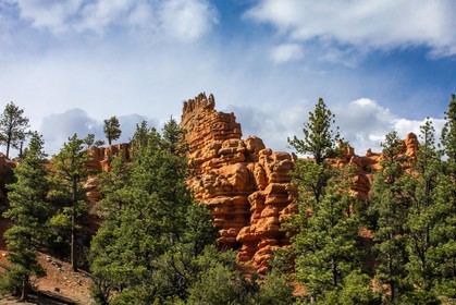 Sur la route en quittant Bryce Canyon
