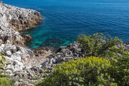 Roquebrune-Cap-Martin
