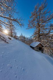 Auron
