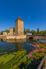 Strasbourg