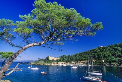 .Port-Cros