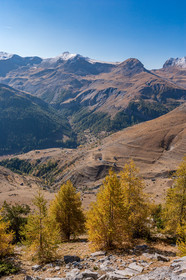 Auron