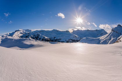 Auron