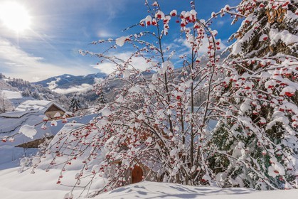 La Foux d'Allos village