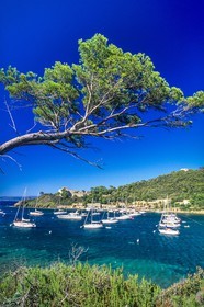 Port-Cros