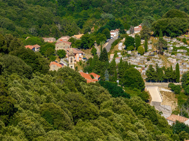 PAL287780.jpg