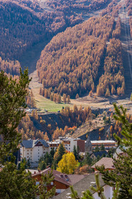 Auron