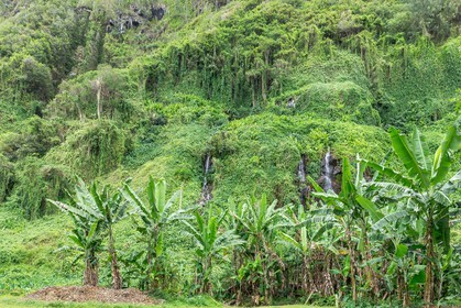 Ile de La Réunion