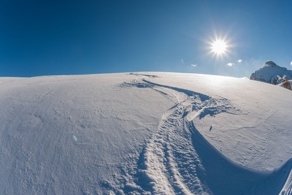 Auron